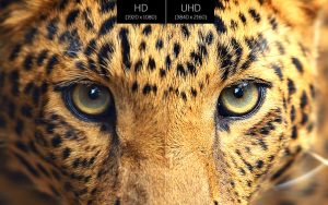 مفهوم رزولوشن تلویزیون، انواع آن، چگونگی تاثیرگذاری آن بر کیفیت تصویر